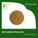 20__40_ Oleuropein Olive Leaf Extract